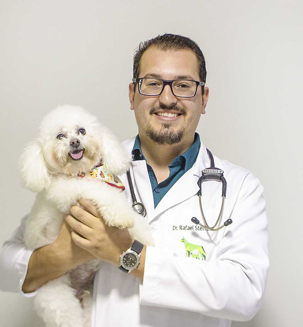 Médico veterinário Rafael Steffens Clínica Vetprime